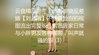 云盘精品泄密！济南眼镜反差婊【刘孟淑】不雅露脸自拍视图流出完整版，紫薇居家日常与小胖男友各种啪啪，叫声就骚的狠 (3)