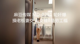 麻豆传媒 MD-0291 轮奸爆操老板妻女 母女骚B是劳工福利