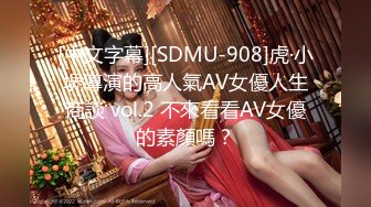 [中文字幕][SDMU-908]虎·小堺導演的高人氣AV女優人生商談 vol.2 不來看看AV女優的素顏嗎？